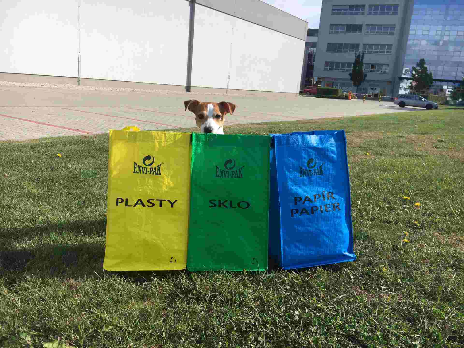 Vrecový zber negarantuje lepšie triedenie odpadu, ukázala analýza dát z celého Slovenska