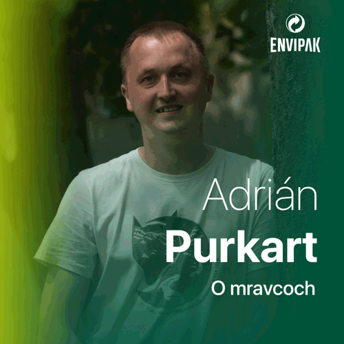 Adrián Purkart: Mravce sú veľmi čistotné, v mravenisku majú aj odpadové komory