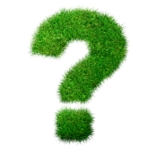 green-question-mark_small
