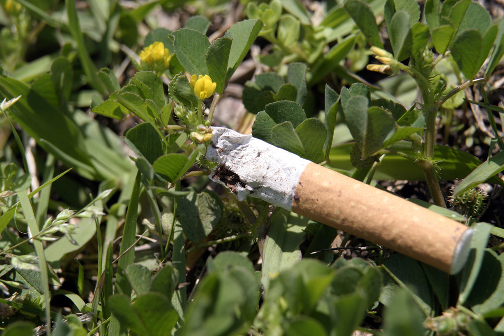 Vo voľne pohodenom odpade dominovali cigaretové ohorky, vyplynulo z jesennej analýzy ENVI - PAK