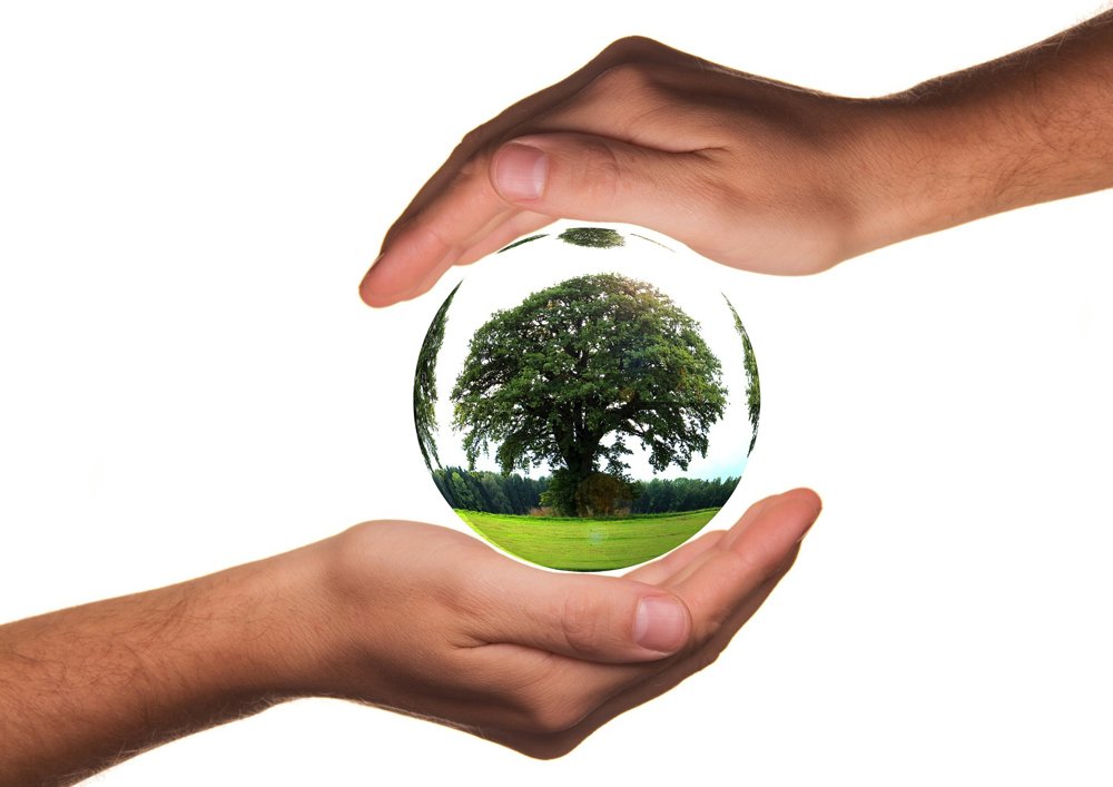 OZV ENVI - PAK plní ciele zberu aj limity recyklácie