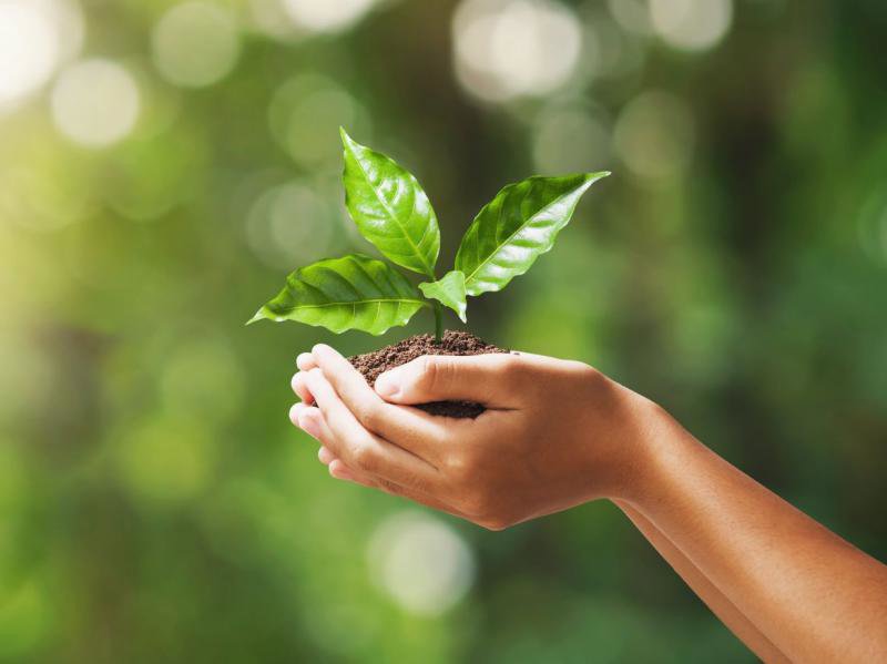Deň Zeme môže byť začiatkom vášho nového životného štýlu